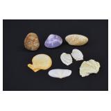 LOT- Assortment Intact & Seperated Clam Shells