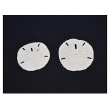 2 Complete Undamaged Sand Dollars