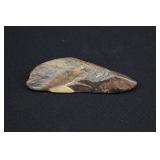 Fossilized Spinosaurus Dinosaur Tooth