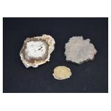 3 Fossilized Petrified Wood Slabs