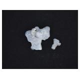 2-pcs Blue Ridge Coral