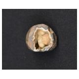 Botryoidal Chalcedony Quartz Geode