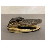 Taxidermy Alligator Head