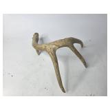 Deer Antler Shed, Three Points
