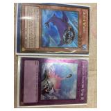 Yu Gi Oh Collectors Cards