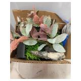 Box of random fish tank decor