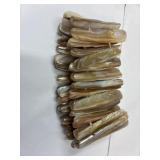 Razor Clam Bracelet