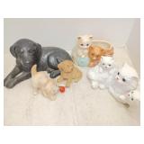 Lot of dogs and cats