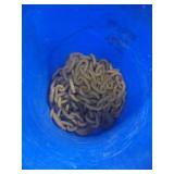 Bucket with chain