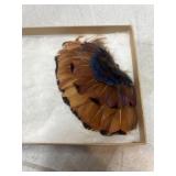 Moth Broach