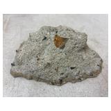 Rock? Meteorite?