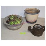 Succulent, Pot, Planter