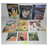 Animal, Dinosaur Books & Poster