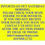 191-Bi-Weekly online Auction: New & Vintage, Anime Figures,