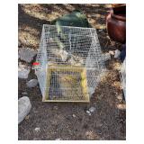 Wire Bird Cage