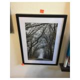 Framed Art, Black & White Trees, 22'x16'