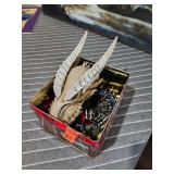 Dragon Skull Sculpture Resin, Spiked Dog Collar x2