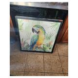 Framed Art Depicting A Parrot 25'x25'