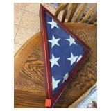 American Flag In Case