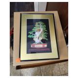 Framed Wall Art 15.5'x11.5'