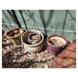 Flower Pots x4, Cement Pedestal