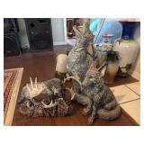 Coyote & Wolf States