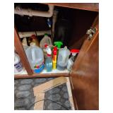 Contents Under Sink Cabinet, Simple Green
