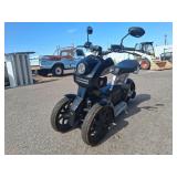 2016 SPCL 3-Wheeled E-bike