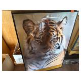 Wild Cat Poster Art, Qty 3, One Missing Glass