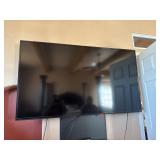 Vizio Wall Mounted TV With BlueRay Player