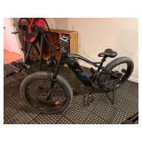 Freesky Sport Electric Bike