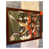 NFL Authenticated Players Pictures Qty - 2