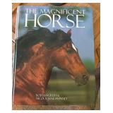 The Magnificent Horse, Hardcover Large Book