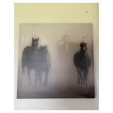 Gary Crandall 'Ghost Horses' Print on Canvas