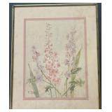 Framed botanical, watercolor print signed
