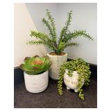 Three Faux Plants