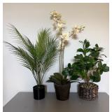 Lot of Artificial Plants