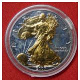 2007 Silver Eagle with  Gold Layered on OBV&REV
