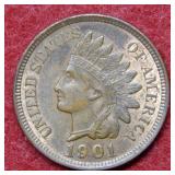 1901 Indian Head Cent Red and Brown