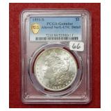 1891 S Morgan Silver Dollar PCGSGenuine UNC Detail