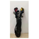 Assorted Golf Clubs with Bag