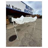 Portable Pop-Up Canopy Tent with Carry Bag
