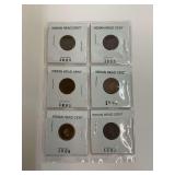 Indian Head Cent Collection 1883-1907
