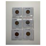 Wheat Penny Collection