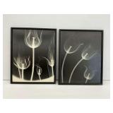 Framed X-Ray Floral Photographic Art Group