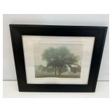 Tony Cooper 'Sacred Trees' Framed and Signed Print