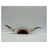Mounted Steer Horns with Leather Accents