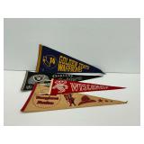 Sports Pennants Group