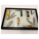 Seven Pocket Knives in Display Case