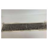 1922 Rotary Club International Association Convention Photograph at Hollywood Bowl